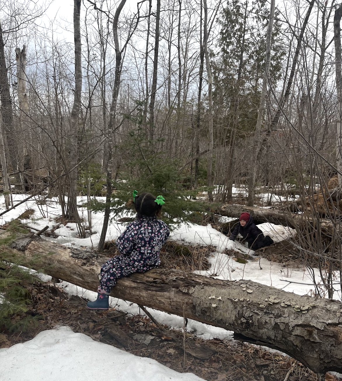 Nature school activity